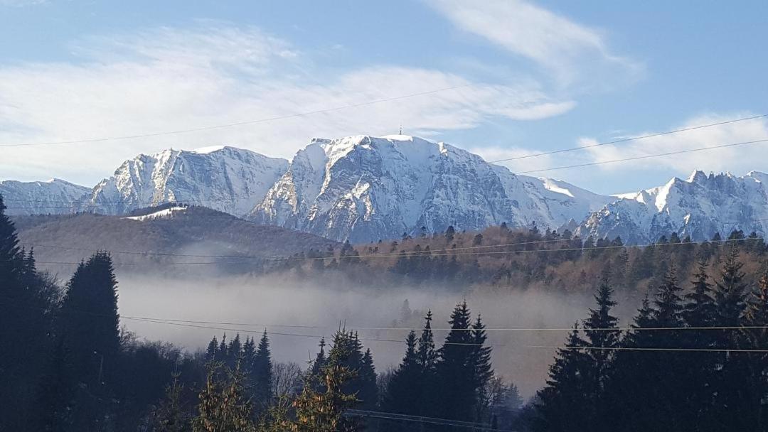Treasure Mountain Predeal Extérieur photo